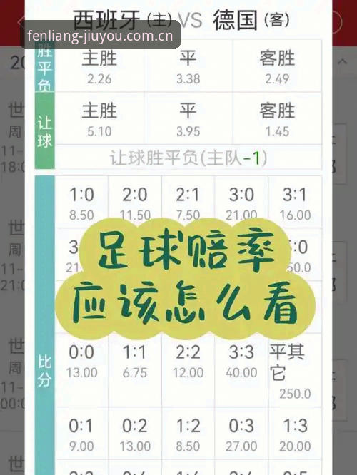 赔率表下载实用指南：九游娱乐平台老玩家的三个避坑经验